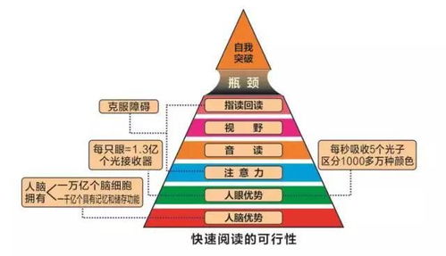 北京大成学能教育咨询公司 引领教育咨询服务新纪元